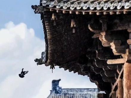 最简单的冥想方式 0b607e17e2da641c76d7402a8588808e~tplv-dy-resize-origshort-autoq-75:330.jpeg?biz_tag=pcweb_cover&from=3213915784&s=PackSourceEnum_MIX_AWEME&sc=cover&se=false&x-expires=2007698400&x-signature=9YKoQG%2FS2CAQuE0nkcfH7Fi%2Bwn0%3D