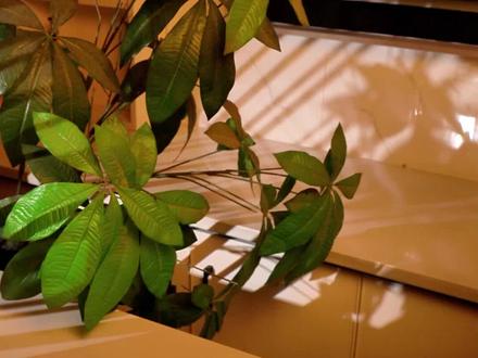 炒肉丝怎样炒得滑嫩不柴 5f27086eb1fdd025a1b888abb43d73d6~tplv-dy-resize-origshort-autoq-75:330.jpeg?biz_tag=pcweb_cover&from=3213915784&s=PackSourceEnum_AWEME_DETAIL&sc=cover&se=false&x-expires=2008396800&x-signature=F2guPSQiOKYLA0Cl%2B15%2BTnRZz58%3D