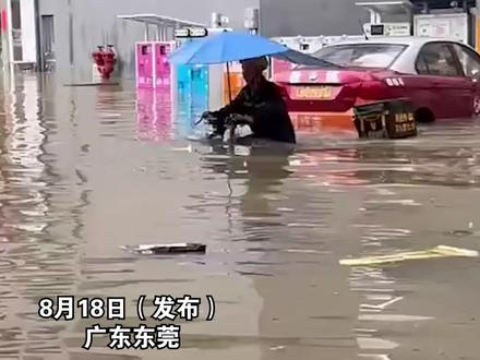 十四运会开幕式讲话 a77284bfb4544295d05243d98ca03620~tplv-dy-resize-origshort-autoq-75:330.jpeg?biz_tag=pcweb_cover&from=3213915784&s=PackSourceEnum_AWEME_DETAIL&sc=cover&se=false&x-expires=2007828000&x-signature=XciziBAas0O8xSNEFJbRR3W1EYE%3D