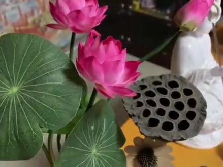 网易严选全家猫粮 c8d27217209fb58ec5ec84d490cd3362~tplv-dy-resize-origshort-autoq-75:330.jpeg?biz_tag=pcweb_cover&from=3213915784&s=PackSourceEnum_AWEME_DETAIL&sc=cover&se=false&x-expires=2006820000&x-signature=%2Bst4YWmwQhLsw6iyZDVW09C2uQ0%3D