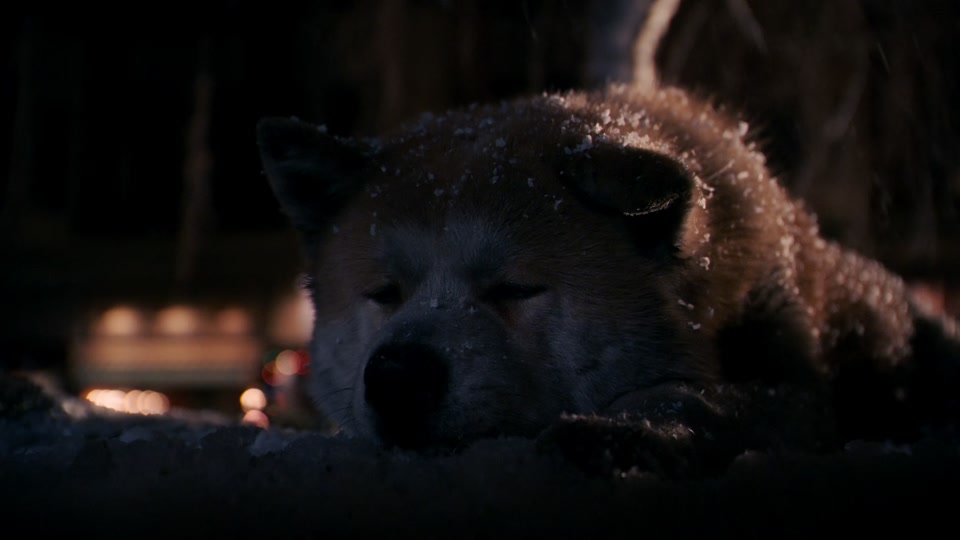 77ab900b384c47c9b29af3bb4042d4fc_1701443100?from=876277922&x-expires=2017472400&x-signature=mVOjVwXNswScWi%2Bg6Dy3RfDNgYU%3D