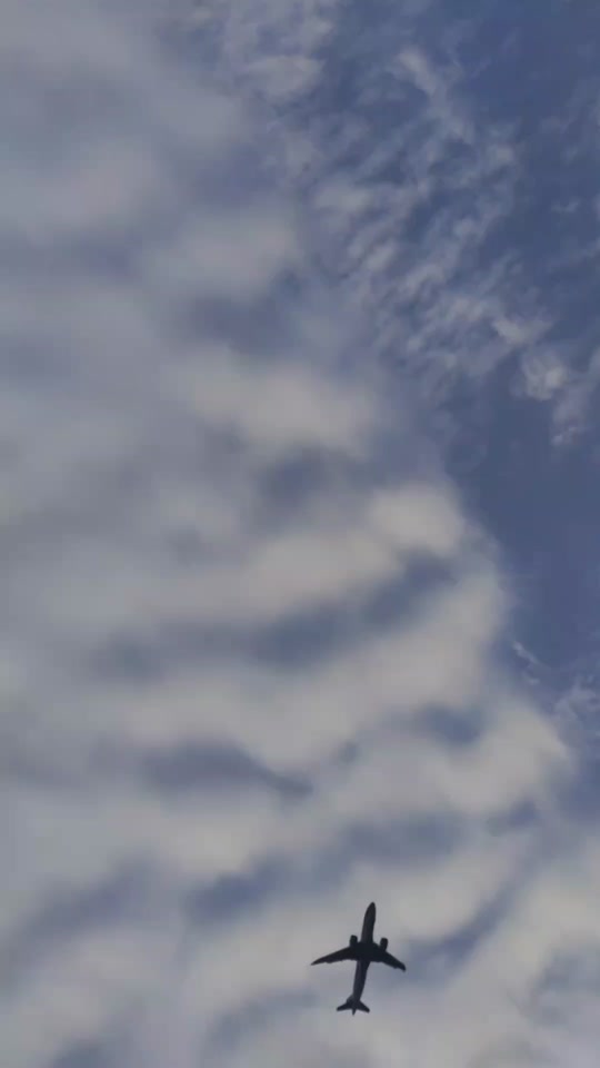 125629a44d254f31bcf5a45b5a13c52e_1701418501?from=876277922&x-expires=2017310400&x-signature=5Iitt8tptH03pkdq2DBaOYxANzk%3D