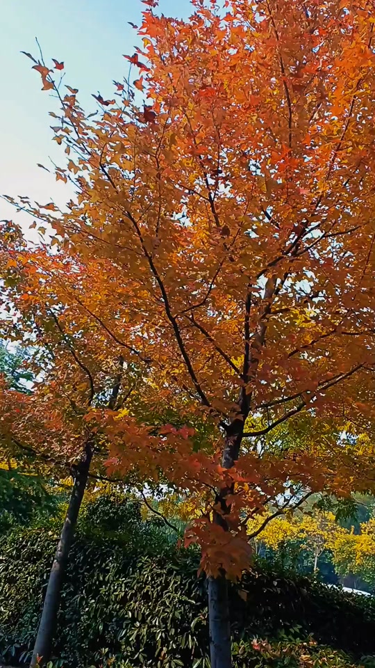 1c5bdea815b844f6b403583b35e29268_1701941752?from=876277922&x-expires=2017623600&x-signature=HvrA3xNE1R5bucTUcKQnh%2BpFElY%3D