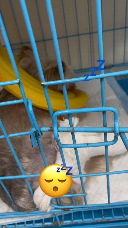 2df7573154e3496588d1a4c250244d76_1699181347?from=876277922&x-expires=2016061200&x-signature=UqqBvQU%2FdbeGegVbX3%2FHUfkuBSE%3D