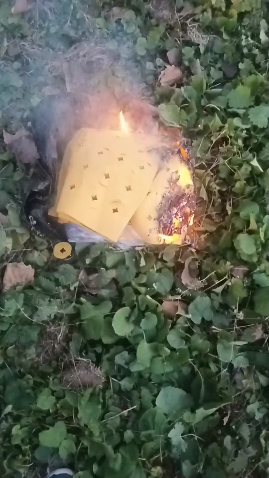 5c9a0ef055fc466ab8ddf2001fa86483_1699800501?from=876277922&x-expires=2015373600&x-signature=ZFd%2FO5m1ypQQCb%2B3r13nQWonBQU%3D