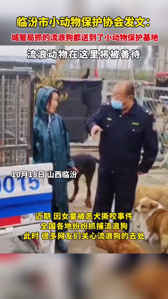 67addf28421045ef87f318c848ededd3_1697803753?from=876277922&x-expires=2015575200&x-signature=2uIboIFL777gxYhGhdzYqTEibQ0%3D