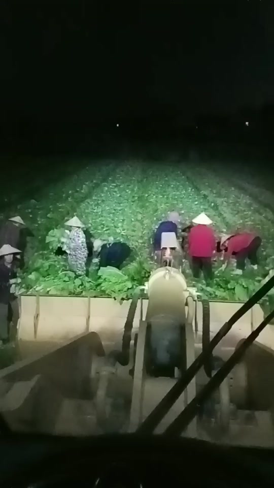 8235a9a0c62c4f8bbf68c4c2b23ef11d_1701776734?from=876277922&x-expires=2017504800&x-signature=TnfEQpZZ3DpwBa7ki2lPiSbY3t4%3D