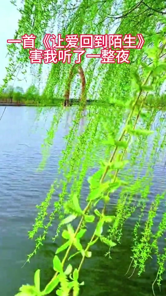 c7e2a5c6e7264939a8d5f1c48ea8b514_1697827808?from=876277922&x-expires=2015247600&x-signature=PA6S9aXcL%2Fj6O774QLoJtGK4Ulk%3D