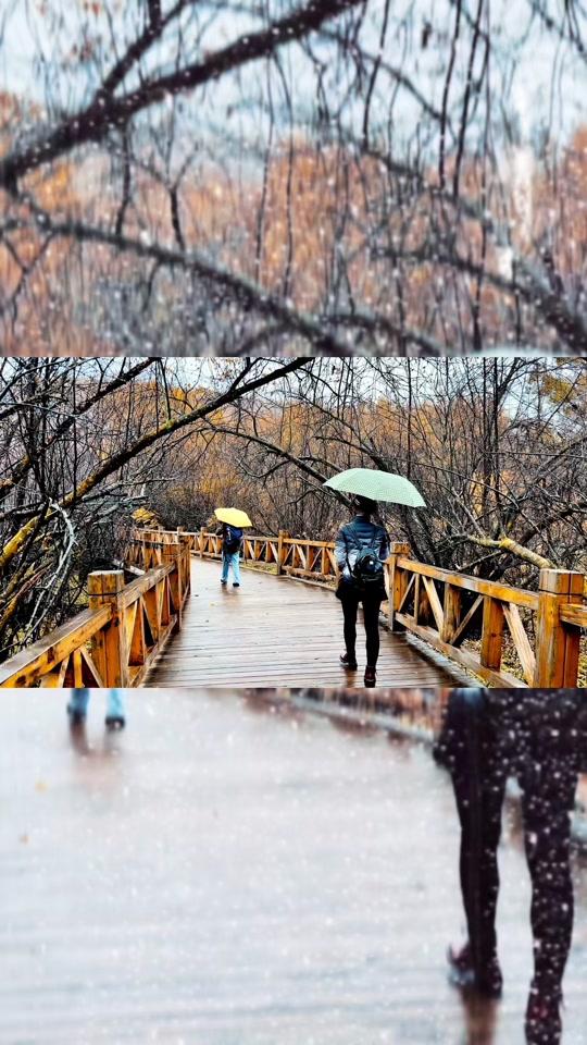 c94c5785a7b4447096578a102a5e14ef_1699311255?from=876277922&x-expires=2017166400&x-signature=t%2B95h5aNtrjL9%2BovqbHhA00nzYs%3D