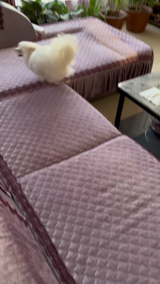 db1de0176a10486e9764b08236784d90_1694191827?from=876277922&x-expires=2017530000&x-signature=%2BHAd%2B0%2BZAqntZuNe8AaQ%2FUCtOIs%3D