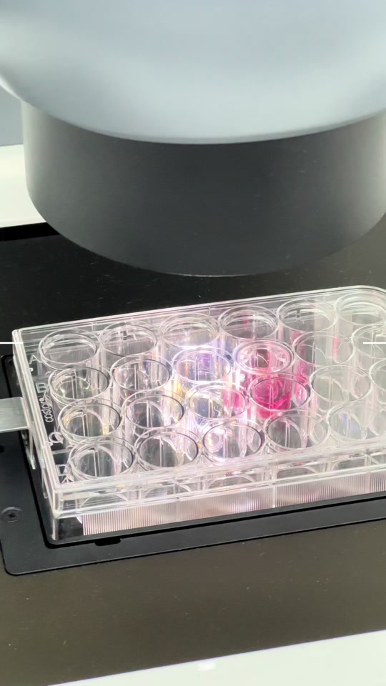 东南大学：#器官芯片 能够模拟真实人体的环境，在细胞和动物模型之外构建了第三类新型模型，在药物研发、精准医疗、环境评估、人民健康等领域未来可期 #生物医学工程 #前沿科技