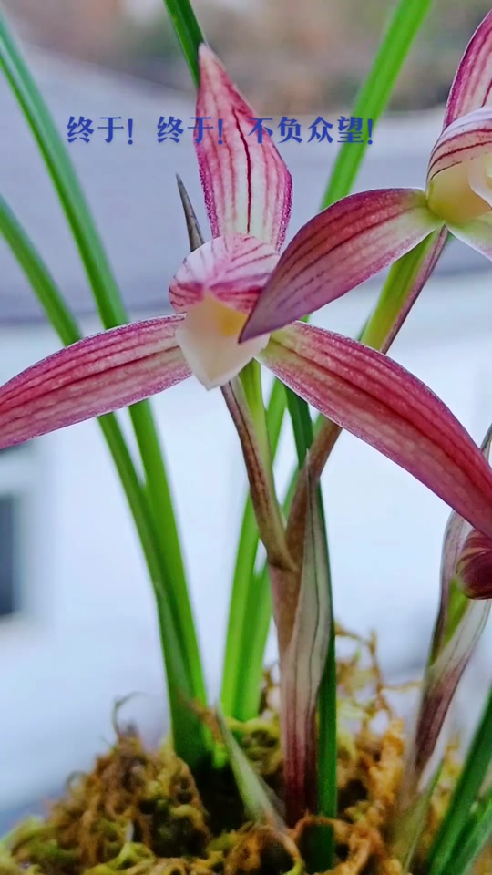 oQyDGhIYQ1SBGEuCd7mnbBA7eTAeCd3AsfUKAa?from=876277922&x-expires=2017382400&x-signature=r8g9CbPoSbjCSY6pR1NpWmHTJzg%3D