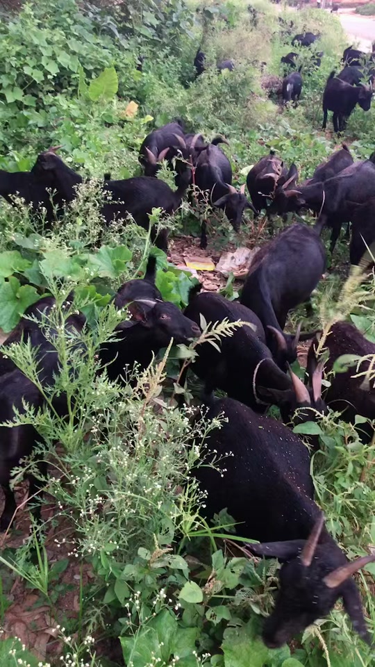 oYU2mLbA9AfARDDbaZID5ynluYReDABLBgJCsV?from=876277922&x-expires=2016176400&x-signature=64jvjetAqRsY1C79orW2kGtzx6c%3D