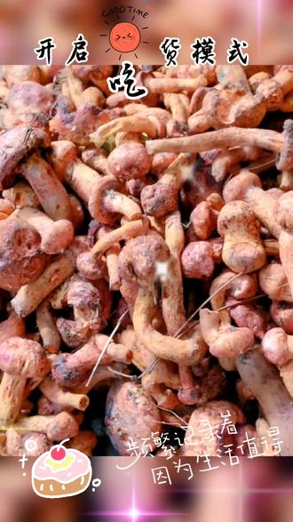 布谷鸟视频户外 0f3132f8dcbb476ca04d9ef5bcfeaf31_1694398665~tplv-dy-resize-origshort-autoq-75:330.jpeg?biz_tag=pcweb_cover&from=3213915784&s=PackSourceEnum_AWEME_DETAIL&sc=cover&se=false&x-expires=2010016800&x-signature=G4KNOV7iBWAlXEuG%2FgpsWfkksP0%3D