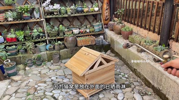 自贴书皮怎么贴视频教程 2d910e5f2bd44ab7b1f3705c78e83423_1695480122~tplv-dy-resize-origshort-autoq-75:330.jpeg?biz_tag=pcweb_cover&from=3213915784&s=PackSourceEnum_AWEME_DETAIL&sc=cover&se=false&x-expires=2010859200&x-signature=0uvJfgtsAS7ADgqwBicVgQwSNC4%3D