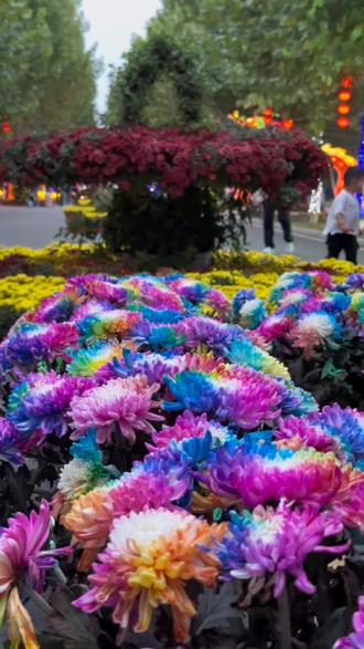 厨房墙壁挂钩装水 3397714b2f004614943c98c78eb7fb97_1696745956~tplv-dy-resize-origshort-autoq-75:330.jpeg?biz_tag=pcweb_cover&from=3213915784&s=PackSourceEnum_AWEME_DETAIL&sc=cover&se=false&x-expires=2012130000&x-signature=hzk0OrHBDdlAdcD0%2BQOGfzXUbYI%3D