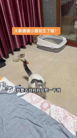 苹果访问权限找不到了 40b046e1bb51477f86e6e680de846020_1702133495~tplv-dy-resize-origshort-autoq-75:330.jpeg?biz_tag=pcweb_cover&from=3213915784&s=PackSourceEnum_CHALLENGE_AWEME&sc=cover&se=false&x-expires=2017504800&x-signature=ly2%2FXfMkYVep0NA0L9E6NBTQMs0%3D