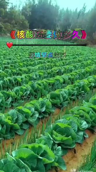 免费机动奥特曼第二季普通话 491dbcc113a2415c9be78d25d26a7760~tplv-dy-resize-origshort-autoq-75:330.jpeg?biz_tag=pcweb_cover&from=3213915784&s=PackSourceEnum_AWEME_DETAIL&sc=cover&se=false&x-expires=2008173600&x-signature=p58W1BmEwniPJw4pUyZalUYIWts%3D