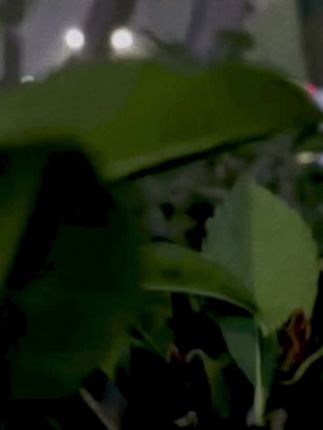 高考电影完整 4ae562aa15d44e22ae0ca68a46aeac1a~tplv-dy-cropcenter:323:430.jpeg?x-expires=1969614000&x-signature=kDnAZtaFe3Tx%2FXHKH2oI1IP03OY%3D&from=4257465056&s=PackSourceEnum_PUBLISH&se=true&sh=323_430&sc=cover&l=021654254534790fdbddc0200fff0050a1c1322000000135adfd5