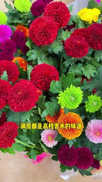 小技巧图片 4f97f6d18ad749bd9708359d0ed5d2ef_1695622841~tplv-dy-resize-origshort-autoq-75:330.jpeg?biz_tag=pcweb_cover&from=3213915784&s=PackSourceEnum_AWEME_DETAIL&sc=cover&se=false&x-expires=2011032000&x-signature=FmB0Zs5wgV5OXjbw65%2FMiOgAVAM%3D