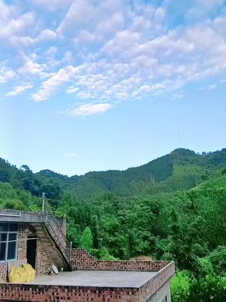 六安天气预报一周30天 5f5d306d67c646adaac7e7acaaef8b2e~tplv-dy-cropcenter:323:430.jpeg?biz_tag=pcweb_cover&from=3213915784&s=PackSourceEnum_PUBLISH&sc=cover&se=true&sh=323_430&x-expires=1983247200&x-signature=3a2uq7gRCp34RWvvEVmxgon4Lfo%3D