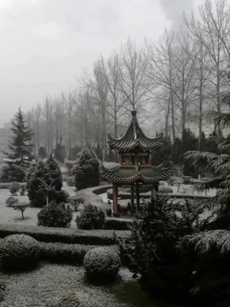 2023年高考倒计时打印 60703ccced9c4414ba8dc599ae72d2d2~tplv-dy-cropcenter:323:430.jpeg?biz_tag=pcweb_cover&from=3213915784&s=PackSourceEnum_PUBLISH&sc=cover&se=true&sh=323_430&x-expires=2003018400&x-signature=QN2zubUnWYK0U8ZcE0ej6ciojUA%3D