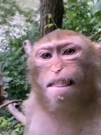 天道 94a1b5063fc54f3b9dbfc46efeec3e04~tplv-dy-cropcenter:323:430.jpeg?biz_tag=pcweb_cover&from=3213915784&s=PackSourceEnum_PUBLISH&sc=cover&se=true&sh=323_430&x-expires=1984327200&x-signature=DBGNF%2FlMv10heW4c6rMgIi%2BDgBI%3D