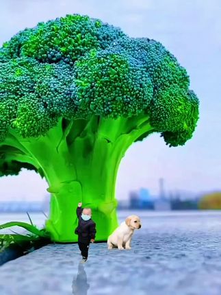 炒肉丝怎么炒的 b194562a401545f9b29aba8066696395~tplv-dy-cropcenter:323:430.jpeg?biz_tag=pcweb_cover&from=3213915784&s=PackSourceEnum_PUBLISH&sc=cover&se=true&sh=323_430&x-expires=1985097600&x-signature=85GROzxotIySLWbOQCjF%2B%2BSjics%3D