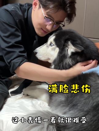 为什么会痛经呢 ba7f168536454e10bb8ab2c703fe7d1c_1672297694~tplv-dy-cropcenter:323:430.jpeg?biz_tag=pcweb_cover&from=3213915784&s=PackSourceEnum_PUBLISH&sc=cover&se=true&sh=323_430&x-expires=1998889200&x-signature=pR7wyuzFqCe5IKJzUtDZ963inF0%3D