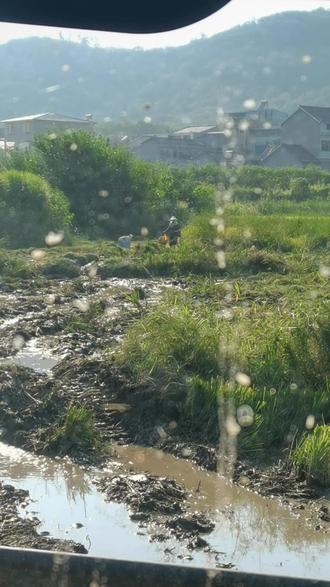 田震的好大一棵树歌曲 bd64b18d81c54344b98ec8c2589621ec_1694264828~tplv-dy-resize-origshort-autoq-75:330.jpeg?biz_tag=pcweb_cover&from=3213915784&s=PackSourceEnum_AWEME_DETAIL&sc=cover&se=false&x-expires=2009700000&x-signature=gR1%2F%2B77VITW%2FsJAM%2B7a72l6Hx5k%3D