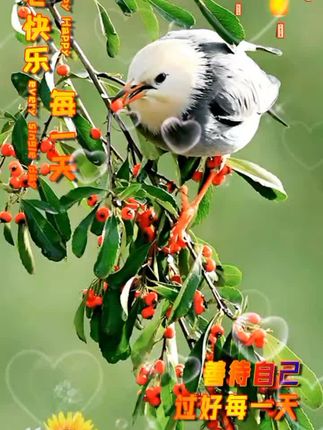 香港工作 ce482e822c3243e4820cb1f838339fc8~tplv-dy-cropcenter:323:430.jpeg?biz_tag=pcweb_cover&from=3213915784&s=PackSourceEnum_PUBLISH&sc=cover&se=true&sh=323_430&x-expires=1986300000&x-signature=ahbukKl%2BCvJjey%2Ffc5RcYNWqDR0%3D