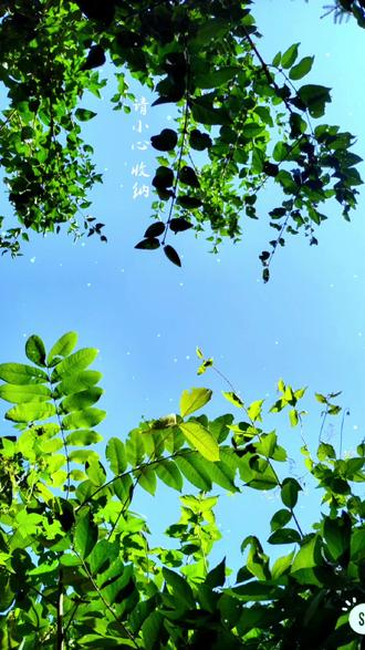 干净好看的厨房设计图 dab091933b364a2da95427ff5f96368d_1696086609~tplv-dy-resize-origshort-autoq-75:330.jpeg?biz_tag=pcweb_cover&from=3213915784&s=PackSourceEnum_AWEME_DETAIL&sc=cover&se=false&x-expires=2011446000&x-signature=yNz91FupXKANamJOA2hCmhgH5E0%3D