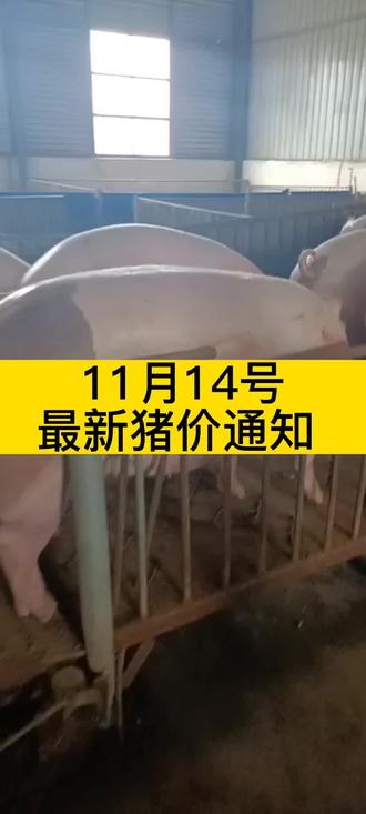 国内市场行情最新 ead54b213cee4b4f936326150bc9c4e2~tplv-dy-resize-origshort-autoq-75:330.jpeg?biz_tag=pcweb_cover&from=3213915784&s=PackSourceEnum_AWEME_DETAIL&sc=cover&se=false&x-expires=2005941600&x-signature=llHr%2FqMGU%2B7DSA7MeroHj%2Flqeos%3D