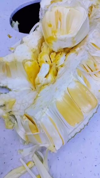 菠萝蜜的视频儿童 f873ce22810e4e4393b3f3df2392b863_1697432651~tplv-dy-resize-origshort-autoq-75:330.jpeg?biz_tag=pcweb_cover&from=3213915784&s=PackSourceEnum_AWEME_DETAIL&sc=cover&se=false&x-expires=2012792400&x-signature=SqmSF6xIEQwT%2BJC3yecKIWEr1%2Bo%3D