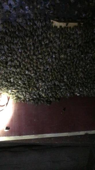 自贴壁纸批发价格 o06OaANnkBF5f2j8D8RRSAElAAexb8RgJ9IAbK~tplv-dy-resize-origshort-autoq-75:330.jpeg?biz_tag=pcweb_cover&from=3213915784&s=PackSourceEnum_AWEME_DETAIL&sc=cover&se=false&x-expires=2008933200&x-signature=Jn9APq1jL7q4ypz532hH5xiRD5w%3D