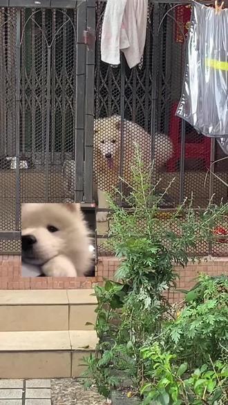 iphone 13双卡双待多少钱 o0AADdKWz3lQbBTrF4nqdIyXNFr9D2egeEYAEj~tplv-dy-resize-origshort-autoq-75:330.jpeg?biz_tag=pcweb_cover&from=3213915784&s=PackSourceEnum_AWEME_DETAIL&sc=cover&se=false&x-expires=2011359600&x-signature=F1lCqmYfvv6iF50BaES4Almurg0%3D