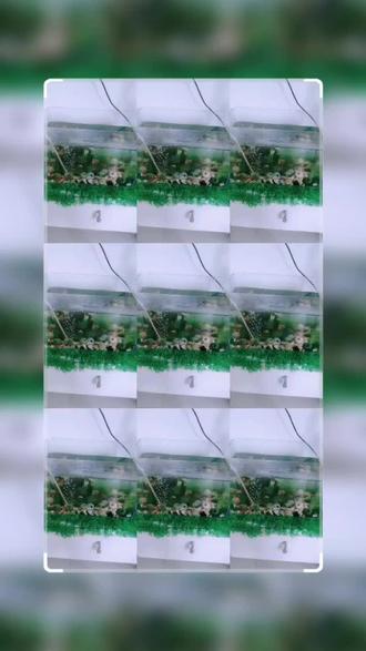 通全身气血的中药 o0JiIGe3PgCU8l90ACnAQC9X9jkggBfAFIDCbO~tplv-dy-resize-origshort-autoq-75:330.jpeg?biz_tag=pcweb_cover&from=3213915784&s=PackSourceEnum_AWEME_DETAIL&sc=cover&se=false&x-expires=2009127600&x-signature=P%2FNnrNr0as9CjkKRP7TbpbRoDKk%3D