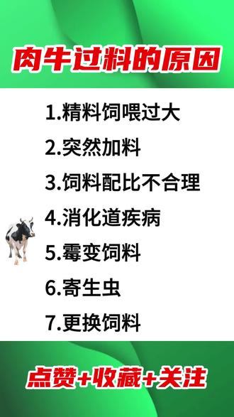 什么叫搭伙过日子的夫妻关系 o45Jfy6dPACdG7a0AQ4Y6faPM2fnHonHBBCvUg~tplv-dy-resize-origshort-autoq-75:330.jpeg?biz_tag=pcweb_cover&from=3213915784&s=PackSourceEnum_AWEME_DETAIL&sc=cover&se=false&x-expires=2009527200&x-signature=CIg9cY3t0Jp7rM4D20B0KliDHYs%3D