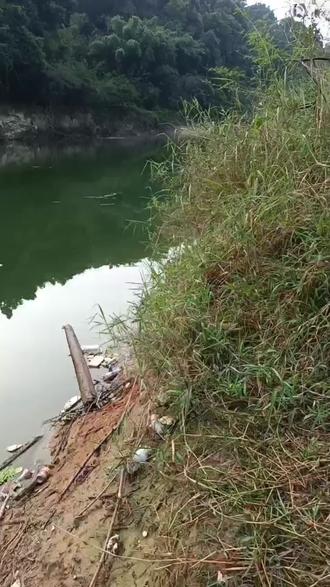 民法典对物业管理的规定278条 o8DnKE5ODZtFQbeglyoASyGbMSA9BBAIAIAfuK~tplv-dy-resize-origshort-autoq-75:330.jpeg?biz_tag=pcweb_cover&from=3213915784&s=PackSourceEnum_AWEME_DETAIL&sc=cover&se=false&x-expires=2011982400&x-signature=fNOeNK2VLREZnkkh6LD6afuuDvM%3D