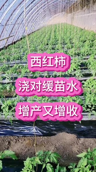 激素的作用及副作用 o8EgE9Bkm2b5PfGcGS7z9gDADXANAE7qCIKzhf~tplv-dy-resize-origshort-autoq-75:330.jpeg?biz_tag=pcweb_cover&from=3213915784&s=PackSourceEnum_AWEME_DETAIL&sc=cover&se=false&x-expires=2009426400&x-signature=h1qGCST3lgBZN8Sgz93rkdwUGdY%3D