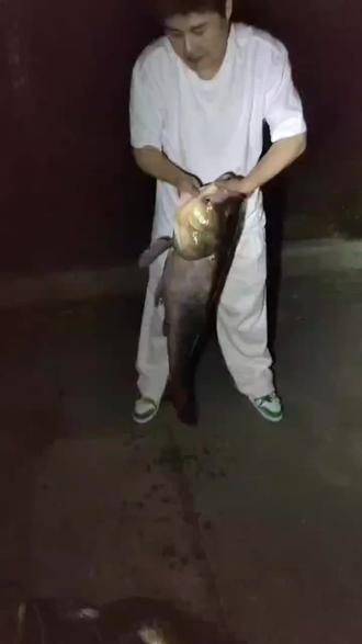 蜜蜂几天进粉 o8WdAtuXzAoyfs1AYIhwGIEHhBNI0gngL3eJAA~tplv-dy-resize-origshort-autoq-75:330.jpeg?biz_tag=pcweb_cover&from=3213915784&s=PackSourceEnum_AWEME_DETAIL&sc=cover&se=false&x-expires=2010481200&x-signature=Bg1d2efVUrM9e3dY6SaTnukXv6g%3D