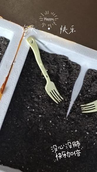 纹哪种颜色眉好看 oId5SnAQDpnAOareUfCNQKUfbpUB7BBnIGAgbW~tplv-dy-resize-origshort-autoq-75:330.jpeg?biz_tag=pcweb_cover&from=3213915784&s=PackSourceEnum_AWEME_DETAIL&sc=cover&se=false&x-expires=2011798800&x-signature=9qEzMP9kD9NLEUFYHQgy6sSvsPg%3D