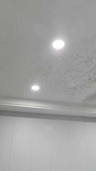 自贴壁纸批发价格 oMJXZ9neEeAgIDCwOADGOxBoBQ4Ub7ChJfGPAJ~tplv-dy-resize-origshort-autoq-75:330.jpeg?biz_tag=pcweb_cover&from=3213915784&s=PackSourceEnum_AWEME_DETAIL&sc=cover&se=false&x-expires=2009368800&x-signature=LVmddR8IFOajI50GzBjF848xhtE%3D