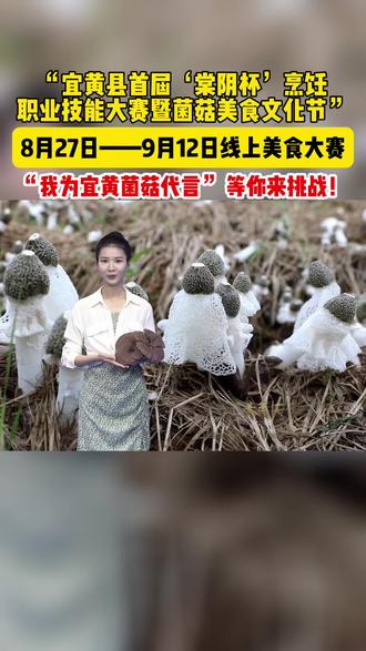 福利彩票双色球开奖结果2023年60期预测号 oQ9NtAcSZCEPpDQkT7ebABgYjn6fzwIY93nLAL~tplv-dy-resize-origshort-autoq-75:330.jpeg?biz_tag=pcweb_cover&from=3213915784&s=PackSourceEnum_AWEME_DETAIL&sc=cover&se=false&x-expires=2009696400&x-signature=5k1hMyZcHdCEBJQkjcmKY6f%2Bpm0%3D