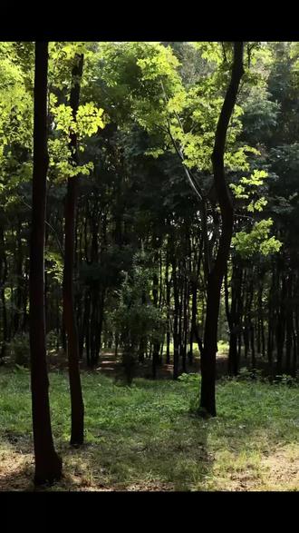 炒肉丝需要清洗吗 oQlFCBIo0BWENAe9VAiISICBvCAtg9b8pQ1nDf~tplv-dy-resize-origshort-autoq-75:330.jpeg?biz_tag=pcweb_cover&from=3213915784&s=PackSourceEnum_AWEME_DETAIL&sc=cover&se=false&x-expires=2010513600&x-signature=OmkPLPsc9cpO8FHJ82IQxriyKDQ%3D