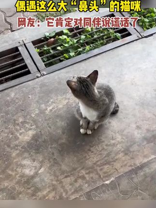 怎样上网课呢 oUaDe6ClE71BaTKCKVAnbB97oFA8BKeAtaXHIf~tplv-dy-cropcenter:323:430.jpeg?biz_tag=pcweb_cover&from=3213915784&s=PackSourceEnum_PUBLISH&sc=cover&se=true&sh=323_430&x-expires=1999533600&x-signature=jyDbKsE%2BZRxZmGc%2BzhCqyzE0H00%3D