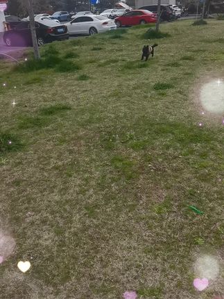 推特是哪个标志 oUzUkhCDtItEcfYA2NTN88ktrGrKBegkmyE1AA~tplv-dy-cropcenter:323:430.jpeg?biz_tag=pcweb_cover&from=3213915784&s=PackSourceEnum_PUBLISH&sc=cover&se=true&sh=323_430&x-expires=1996059600&x-signature=Fjx39v8WFfzl9YhGSqk3DJjBwBU%3D