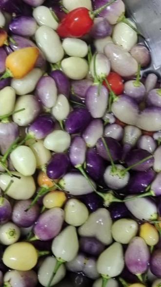 vivo x80价格多少合适 oUzyxDPWIB6eoEhmlt9AAnOAPEAAQgKuAuAzfk~tplv-dy-resize-origshort-autoq-75:330.jpeg?biz_tag=pcweb_cover&from=3213915784&s=PackSourceEnum_AWEME_DETAIL&sc=cover&se=false&x-expires=2009289600&x-signature=qwWLHXaItCSvzyXfaVTz610KVI4%3D