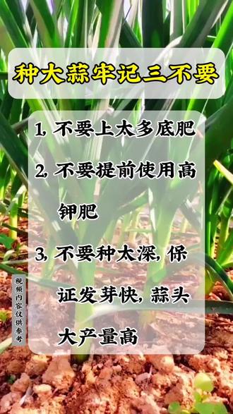 三沙市面积有多少亩 oY632xAQDdnA7aXefDCVfJ8HcldB7BErIZoqbL~tplv-dy-resize-origshort-autoq-75:330.jpeg?biz_tag=pcweb_cover&from=3213915784&s=PackSourceEnum_AWEME_DETAIL&sc=cover&se=false&x-expires=2010358800&x-signature=BWRkeZLjEwtOXn5STfKwUJ6Hp4w%3D