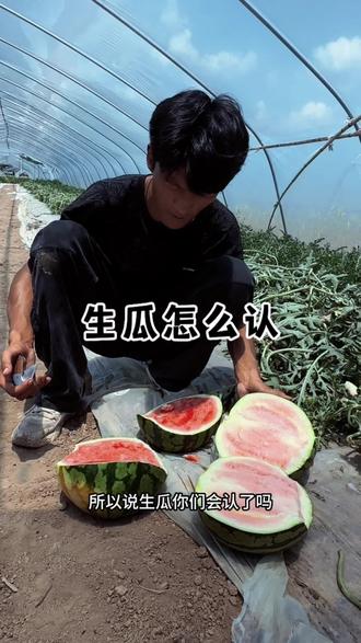 蜜蜂采蜜的过程讲解视频 ogb7TcDSoQemI4E4BNYesUAEnbAY8BCf8CGJWI~tplv-dy-resize-origshort-autoq-75:330.jpeg?biz_tag=pcweb_cover&from=3213915784&s=PackSourceEnum_AWEME_DETAIL&sc=cover&se=false&x-expires=2005272000&x-signature=icIHtmD1jrXe550sSebys9A3QIU%3D